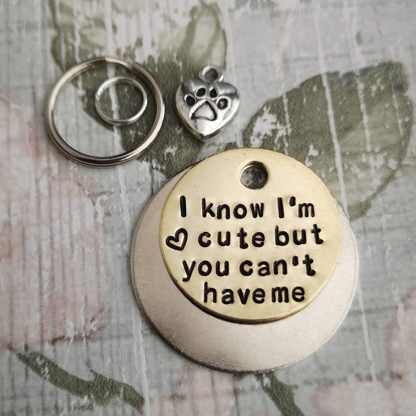 I know I'm cute but you can't have me - dog tag pet tag ID Collar Christmas Gift Idea
