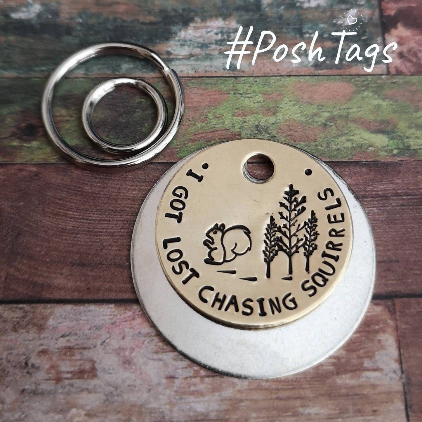 I got lost chasing squirrels - funny cat dog tag pet tag ID PoshTags Collar Christmas Gift Idea