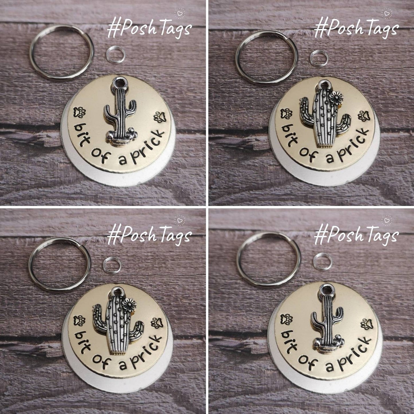 Bit of a prick - Cactus - cat dog tag pet tag ID #PoshTags Collar Christmas Gift Idea