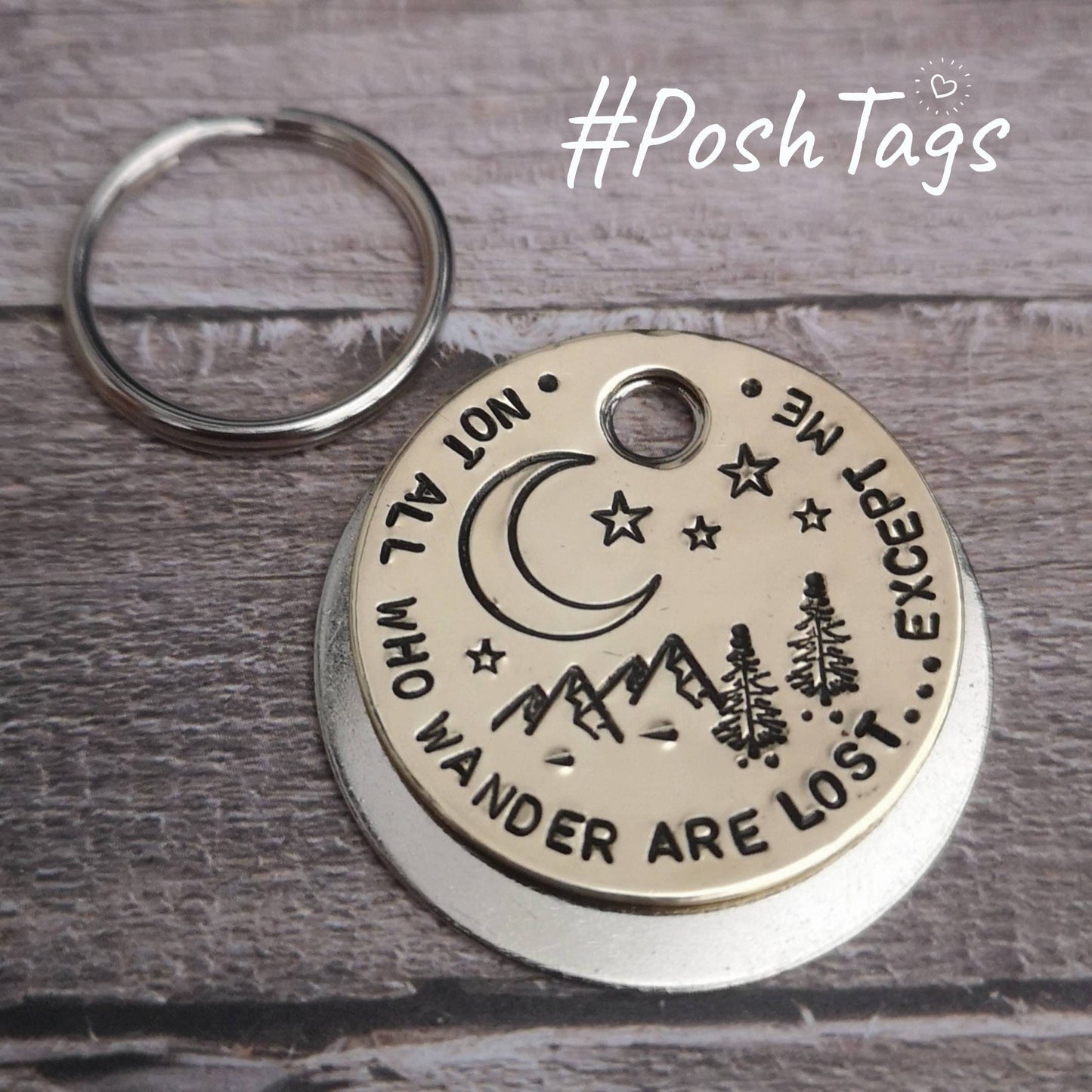 Not all who wander are lost night sky moon stars with scenery dog tag pet tag ID #PoshTags Collar Christmas Gift Idea