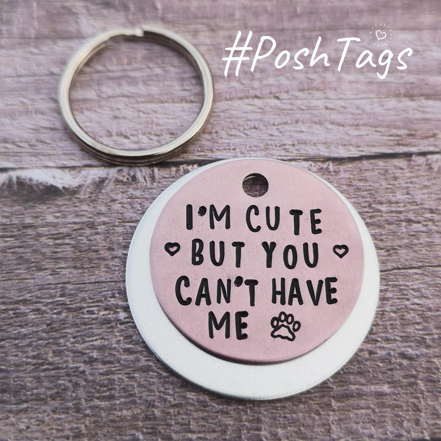 I'm cute but you can't have me - pet cat dog ID collar tag