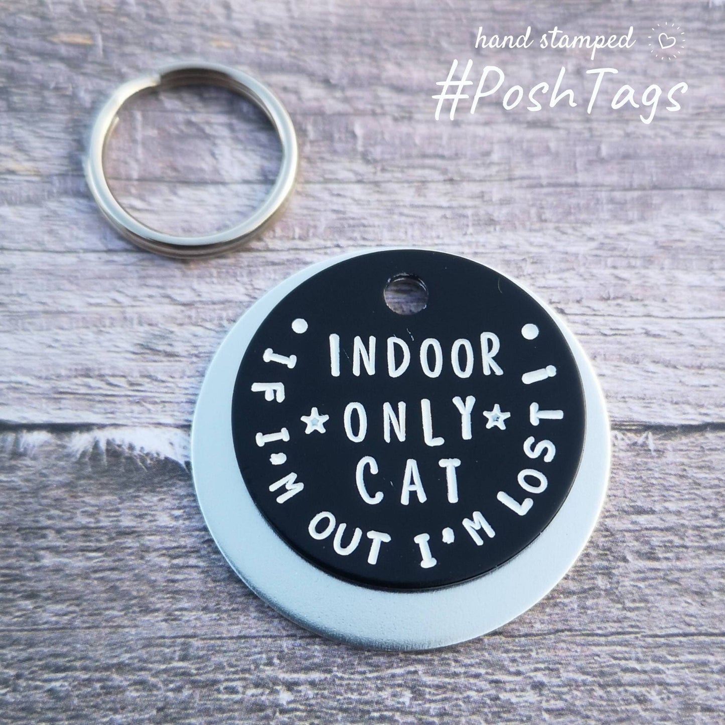 Indoor cat only - if I'm out I'm lost - pet cat dog ID collar tag