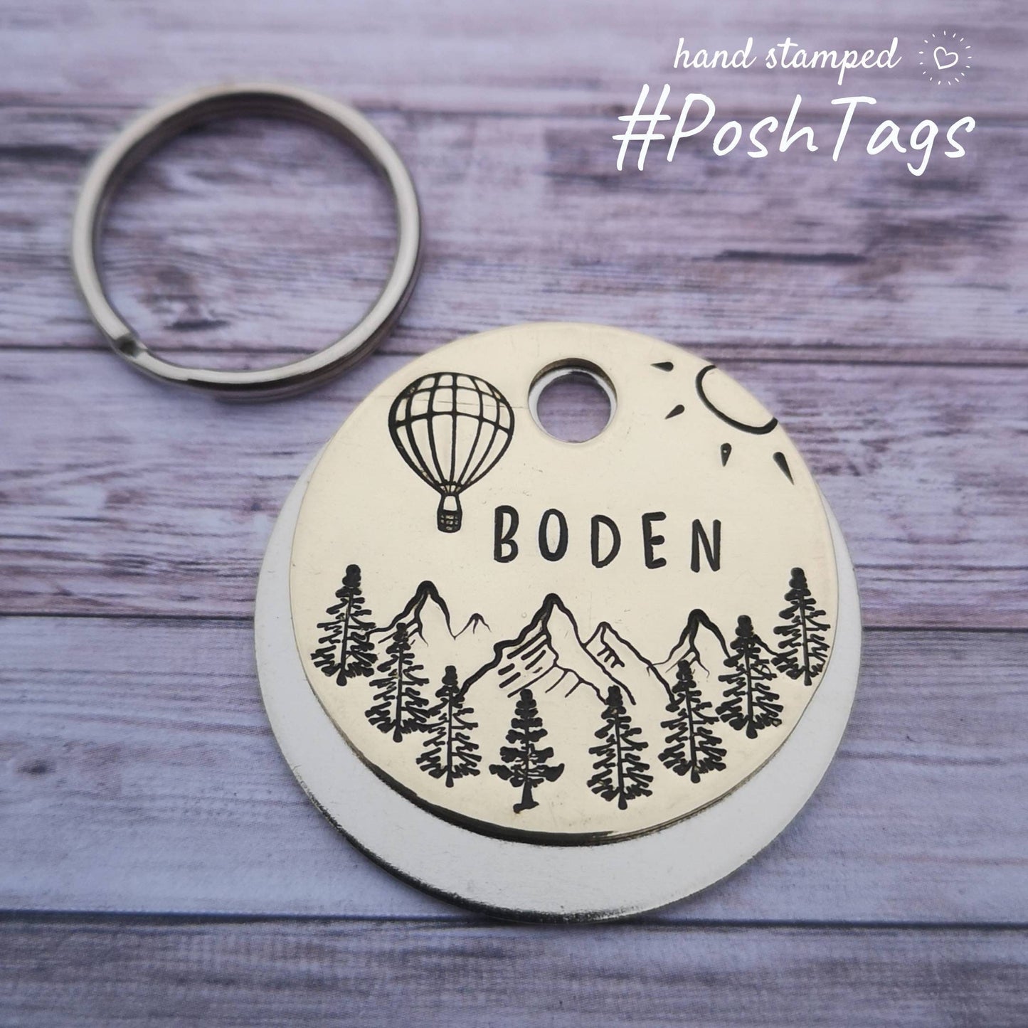 Hot air balloon over the mountains -sun tree nature scene - add your pet name - pet cat dog ID collar tag