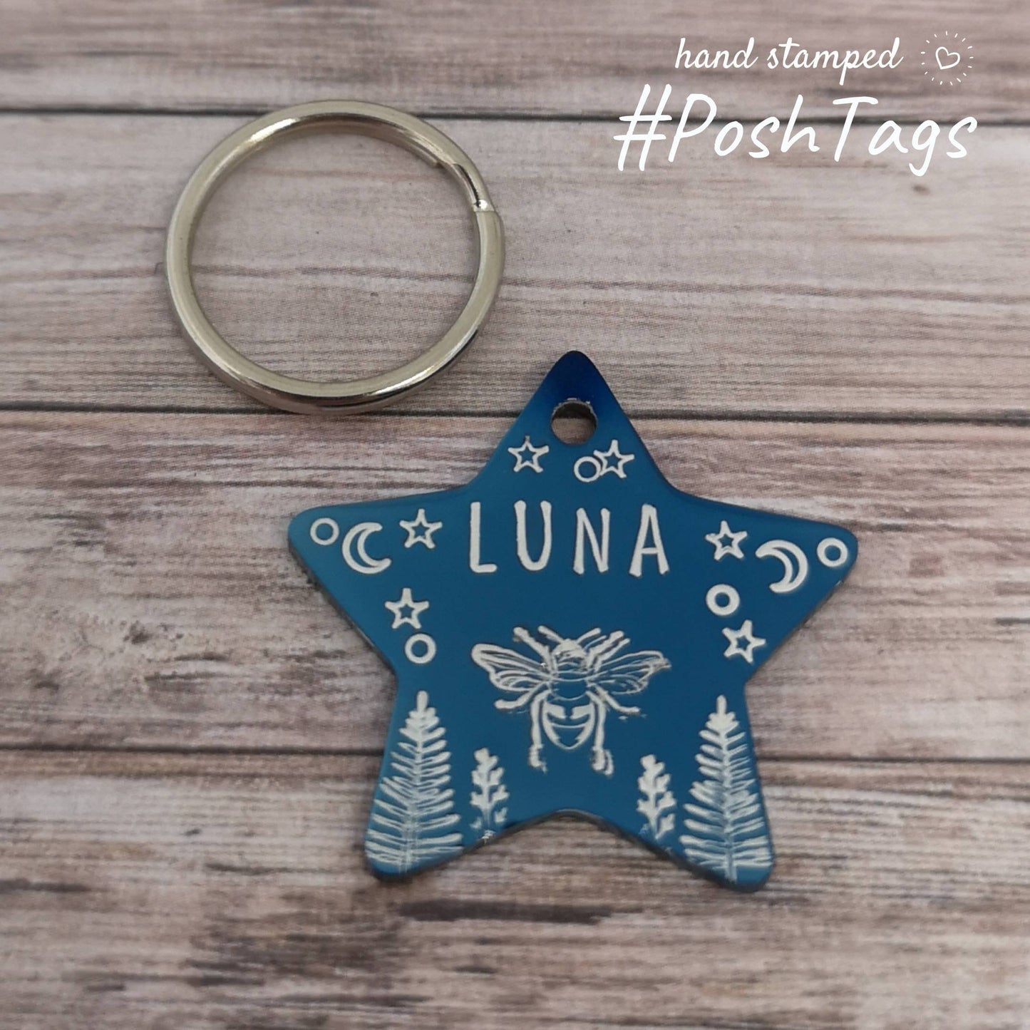 Been a dick and got lost - Small stainless steel star tag - 3 COLOURS - pet cat dog ID collar tag