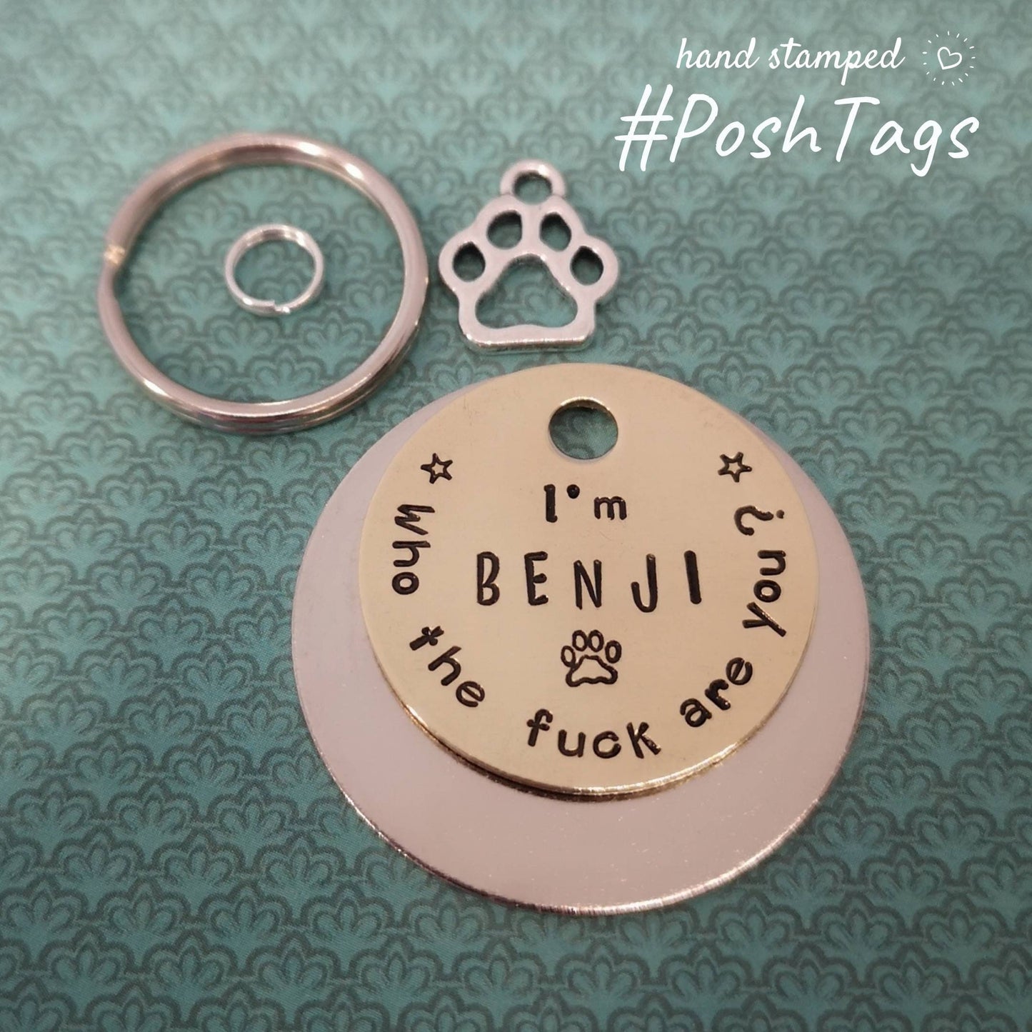 Who the fuck are you? With name - funny naughty rude sweary - pet cat dog ID collar tag