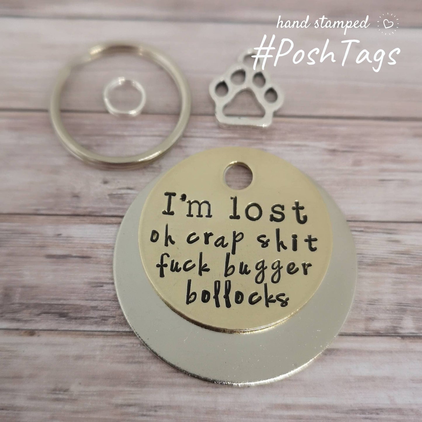 I'm lost - naughty rude funny sweary tag - 3 sizes - pet cat dog ID collar tag