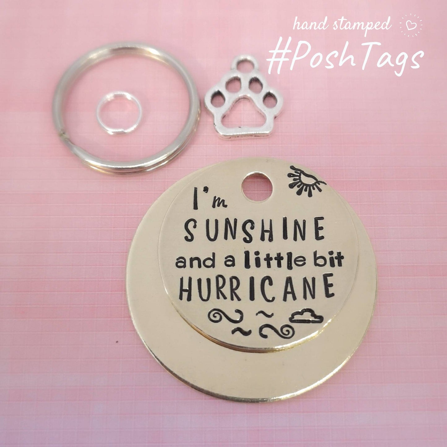 I'm sunshine and a little bit hurricane - funny crazy pet - 3 sizes - cat dog ID collar tag