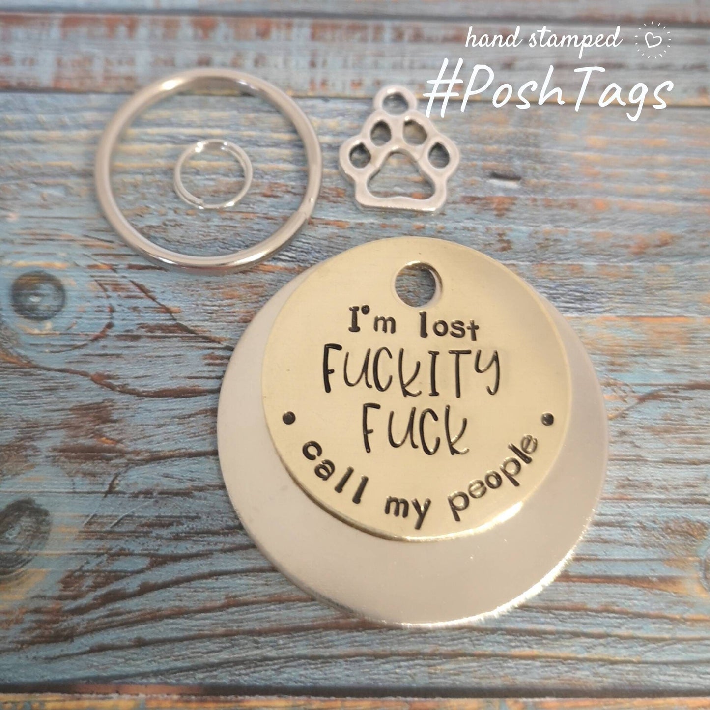 I'm lost Fuckity fuck - call my people - funny naughty rude - pet cat dog ID collar tag
