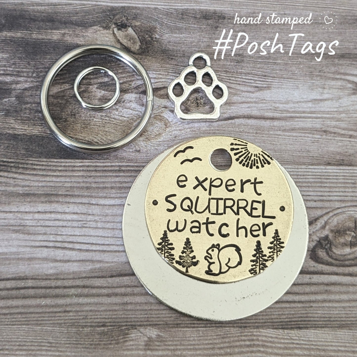 Expert Squirrel Watcher/Chaser - 3 sizes, different colour options - cat dog puppy kitten pet tag ID #PoshTags Collar Christmas Gift Idea