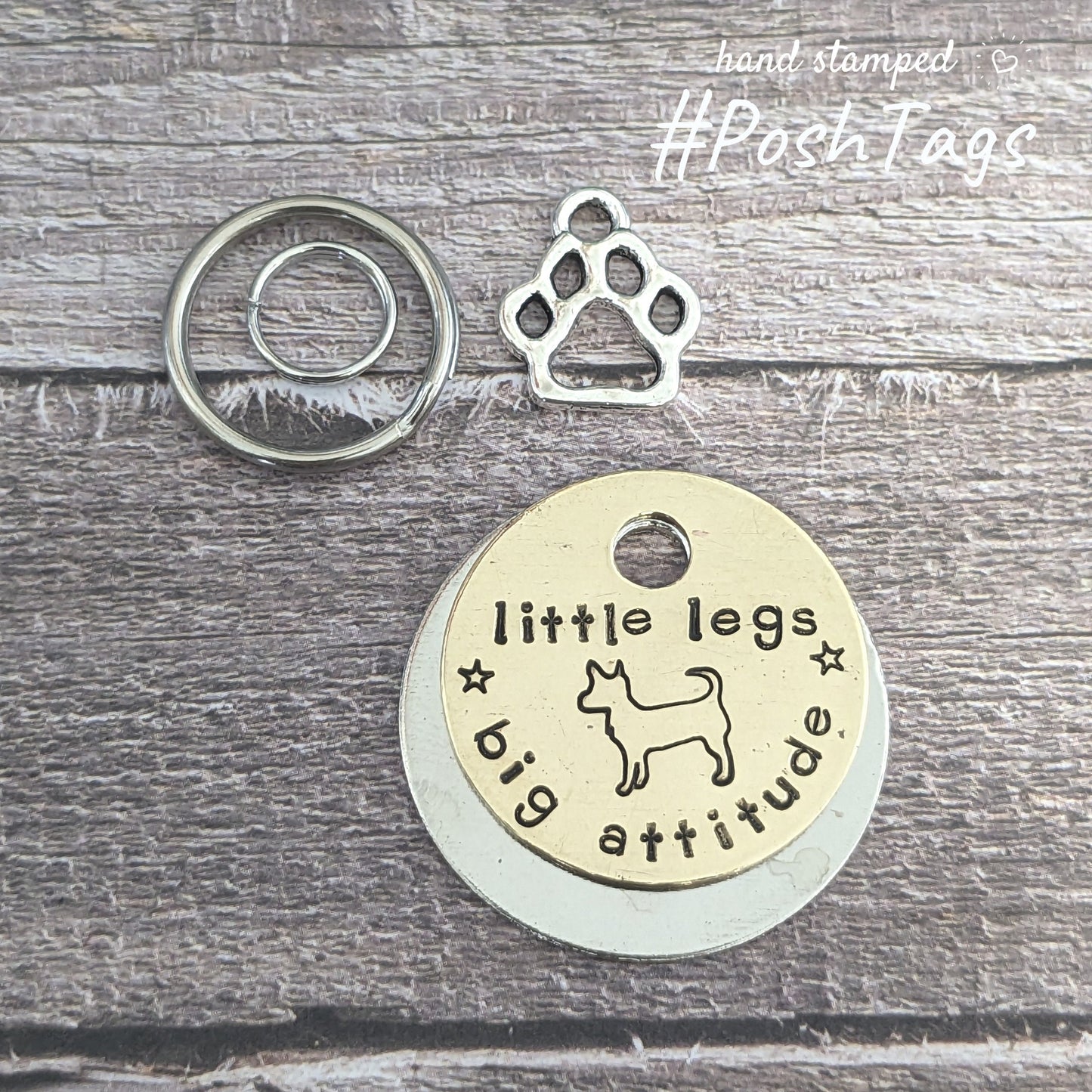 Little legs, BIG attitude - Small dog chihuahua Jack Russell patterdale terrier - pet dog ID collar tag