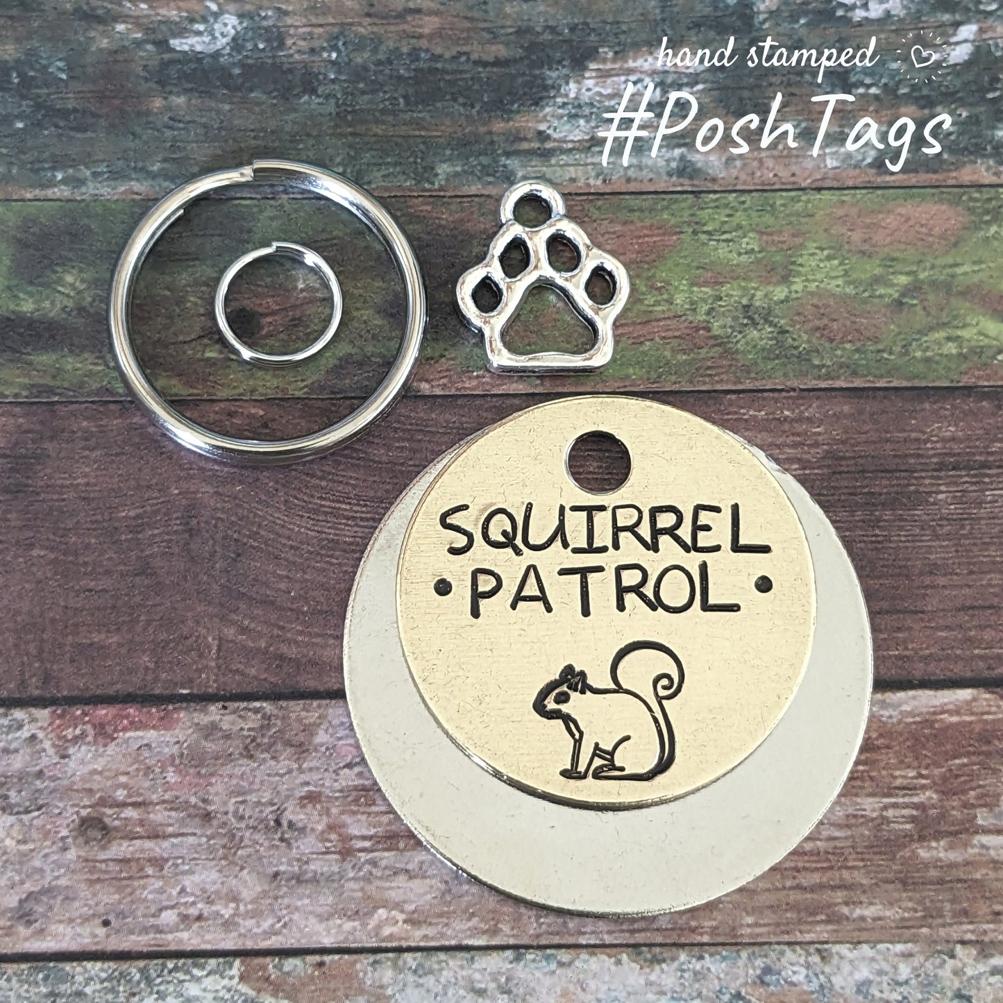Squirrel Patrol - cute funny - pet cat dog ID collar tag