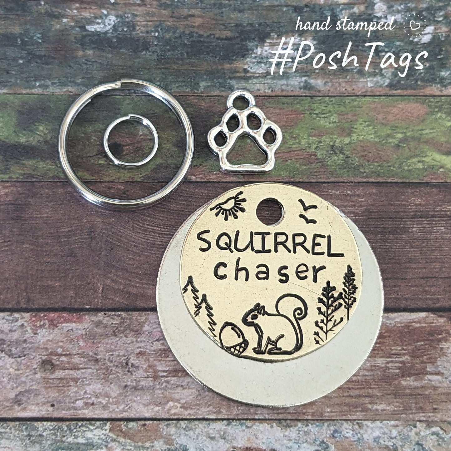 Squirrel Chaser - cute funny - pet cat dog ID collar tag