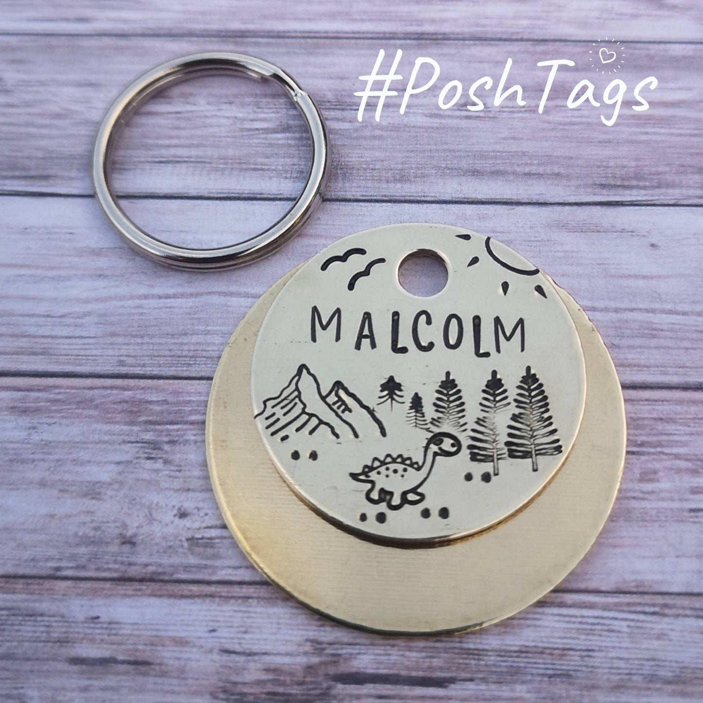 A dinosaur adventure - different sizes - Cute Dino dog cat pet id tag hand stamped #PoshTags Collar Christmas Gift Idea