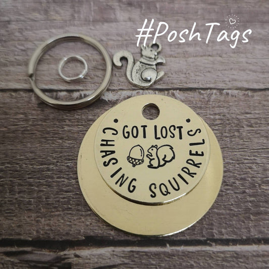 Got lost chasing squirrels - acorn cute funny - pet cat dog ID collar tag