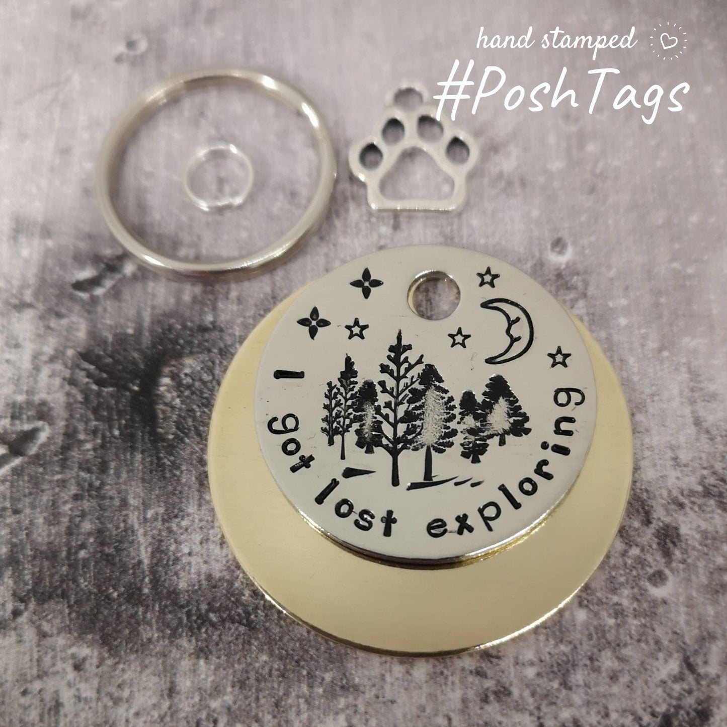 I got lost exploring - scenery mountain moon stars - pet cat dog ID collar tag