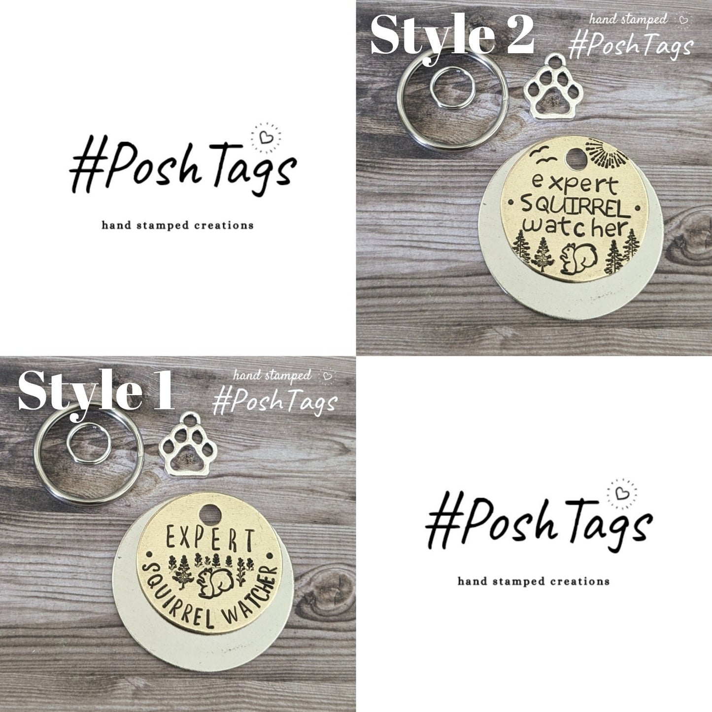 Expert Squirrel Watcher/Chaser - 3 sizes, different colour options - cat dog puppy kitten pet tag ID #PoshTags Collar Christmas Gift Idea