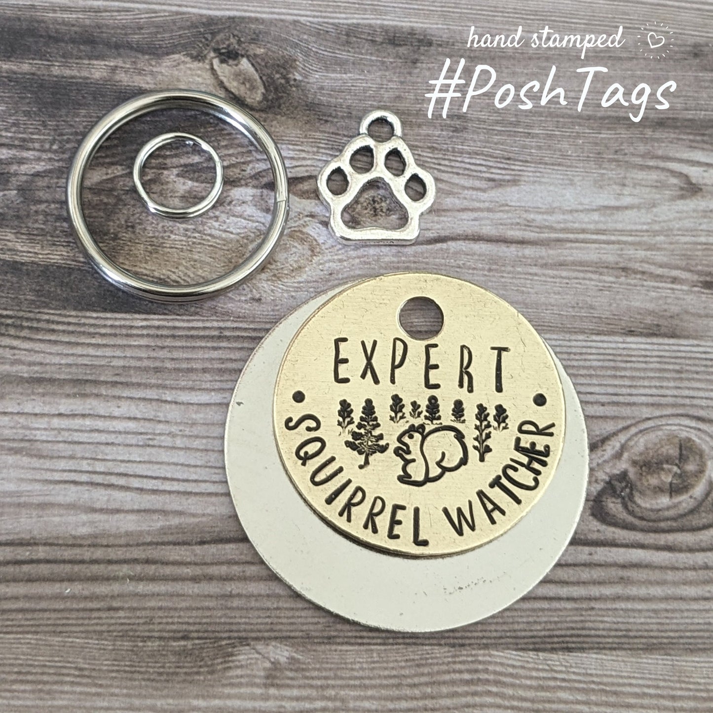 Expert Squirrel Watcher/Chaser - 3 sizes, different colour options - cat dog puppy kitten pet tag ID #PoshTags Collar Christmas Gift Idea