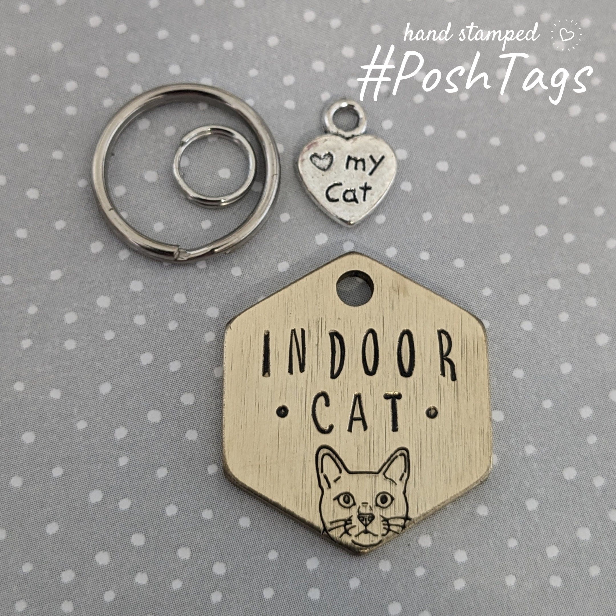 Kitten id tag best sale